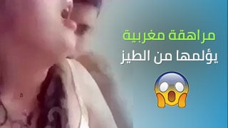 سكس عربي مغربي – مشاهدة سكس عربي كامل